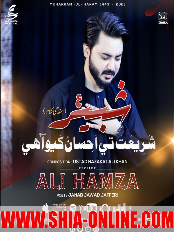 Ali Hamza